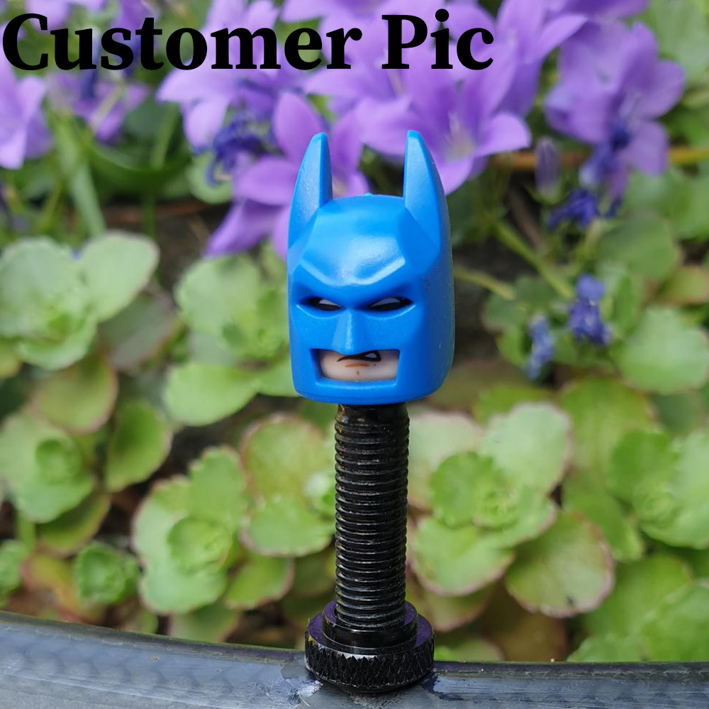 Batman (light blue cowl)